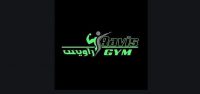 ems-training-iran-isfahan-ravis-gym.JPG
