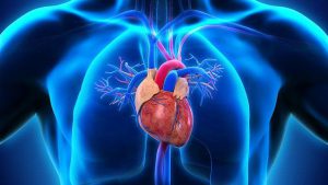 استفاده از EMS برای تقویت عضلات قلبی